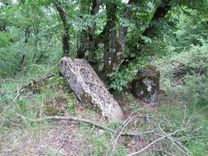 ՍՐԲԱՏԵՂԻ ՉԱՂԱԼ (ՊԱՏԱՐԱ)